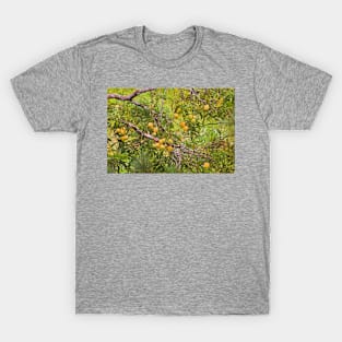 ela mangoes -1 T-Shirt